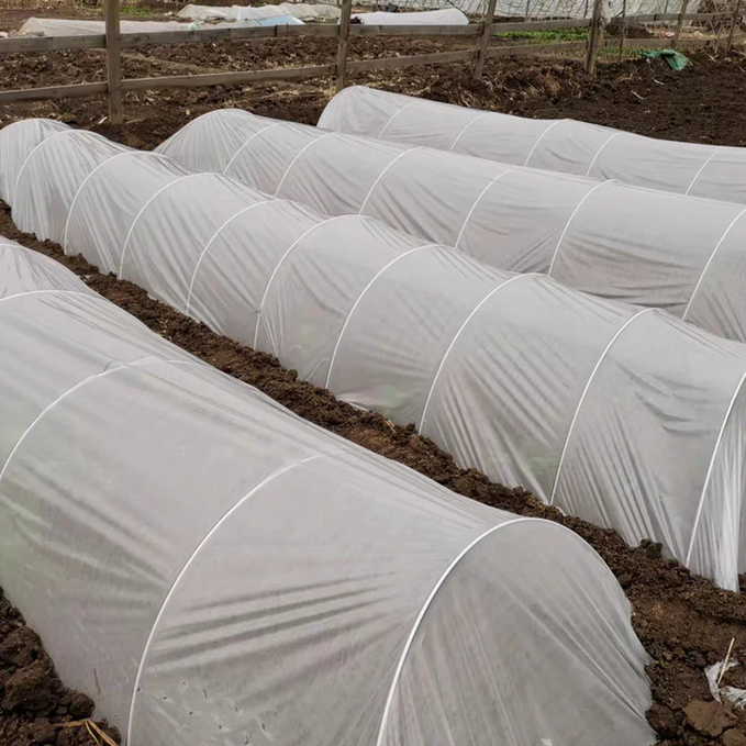 Row Covers Gardening Tips