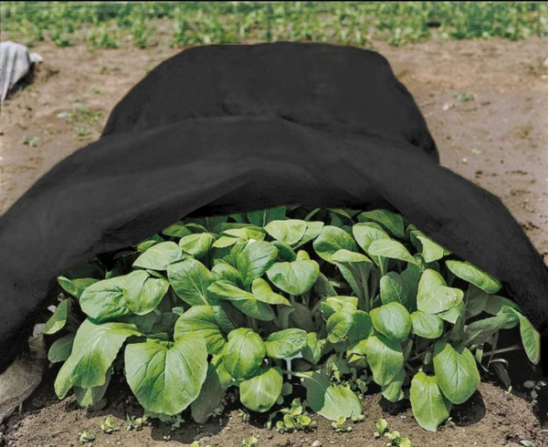 2 oz Row Cover 7x50ft,black