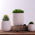 Mini Ceramic Planter Pot